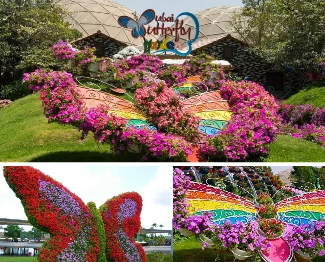 Butterfly Garden Dome Dubai